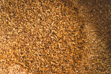 Ground caramel malt with light malt. Craft beer brewing from grain barley pale malt in process. Ale or lager from pilsner malt