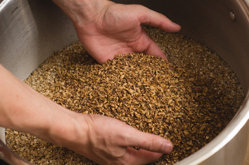 Male hands from which ground malt pours out. good attitude to craft. Craft beer brewing from grain...