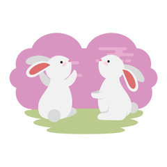 cute and little rabbits couple in grass characters