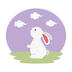 cute and little rabbit in the field character