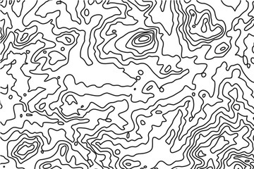 Imitation of a geographical map, black lines on white background, vector design.