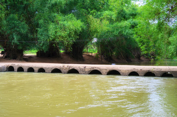 Naklejka premium Flow line in the recreation area Spree Forest near Rural village in Thailand. Soft Waterline flows through a beautiful summer forest with green trees.