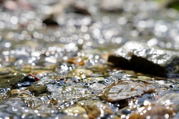 キラキラ川の水