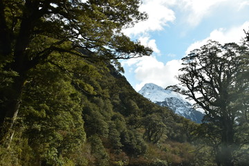 Milford Sound in New Zealand