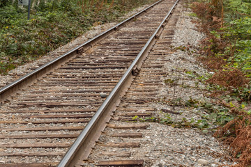 Obraz premium railroad in the country side with trees and bushes on both sides