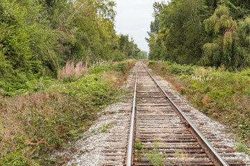 railroad in the country side with trees and bushes on both sides  on an over cast day