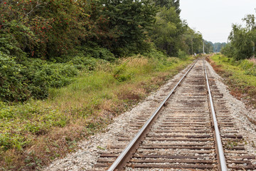 empty railroad in the countryside with dense grasses and green trees on both side on an overcast day