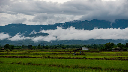 rain cloud over the mountain with shack in the rice field - 285387650