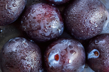 Fresh plum on a dark background with drops of water