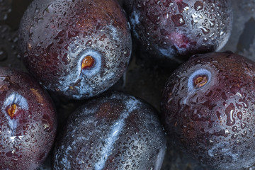 Fresh plum on a dark background with drops of water