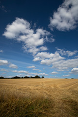 Fototapeta premium Clouds over recently harvested crop with stubble left in field in the rural county of Hampshire