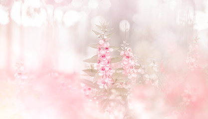 Pink flower garden,romantic tone Concept,copy space left-right.