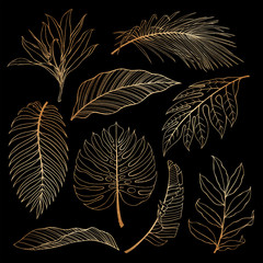 Set of tropical plants leaves. Botanical gold outline. Coconut palm, monstera, banana tree.