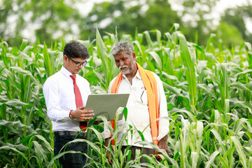 Indian farmer with agronomist at Green Corn Field, showing some information in laptop