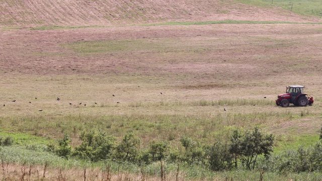 牧草を刈るトラクター
