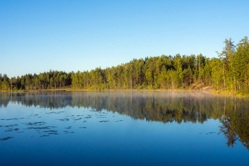 landscape on a forest lake
