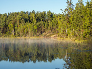 Fototapeta na wymiar forest lake on a summer morning