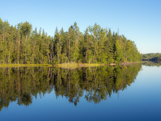 Fototapeta na wymiar forest lake shore
