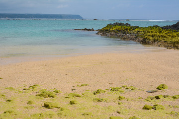 海の向こうの籬島