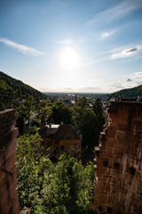 Fototapeta na wymiar Heidelberg Panorama