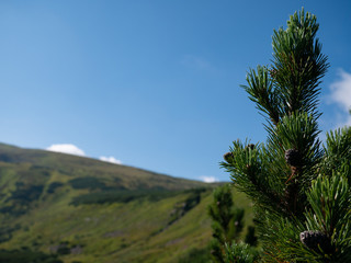 Mountain valley during sunrise / sunset. Natural summer landscape. Colorful summer landscape in the Carpathian mountains.