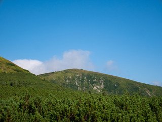 Mountain valley during sunrise / sunset. Natural summer landscape. Colorful summer landscape in the Carpathian mountains.
