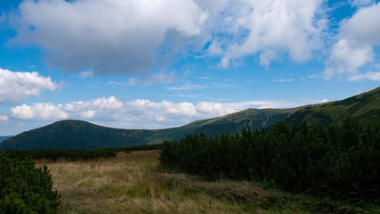 Fototapeta premium Mountain valley during sunrise / sunset. Natural summer landscape. Colorful summer landscape in the Carpathian mountains.