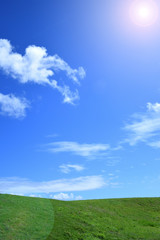 Fototapeta premium 青空と草原／沖縄県