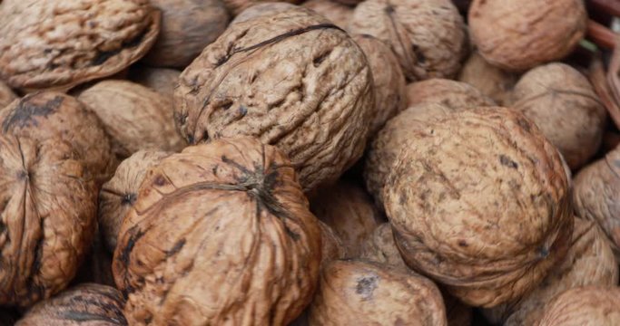  large pile of walnuts from different sides
