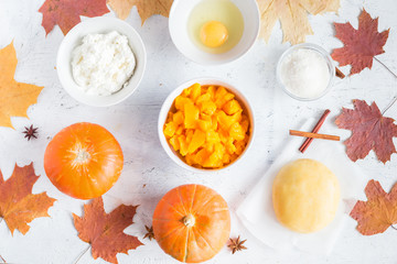 Ingredients for pumpkin pie for thanksgiving celebration
