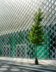 Stadtbaum vor der Glasfassade des Futurium in Berlin © spuno