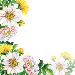 Watercolor Greeting card, invitation with chrysanthemums on a white background.Summer,autumn floral