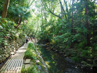 Todoroki valley in Tokyo JAPAN