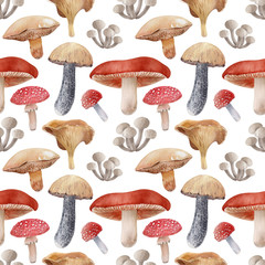 Watercolor background with different kinds of mushrooms