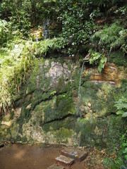 Todoroki valley in Tokyo JAPAN