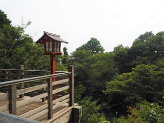 Fototapeta na wymiar Todoroki valley in Tokyo JAPAN