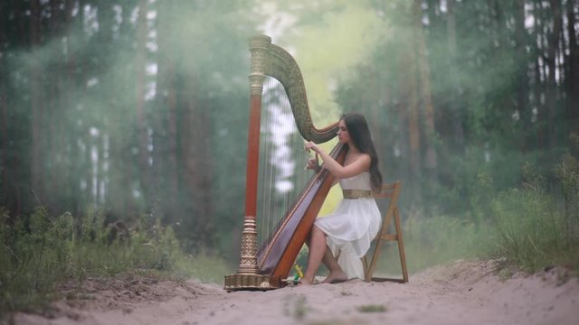 Woman harpist sist at forest road and plays harp against a background of pines and yellow smoke. 