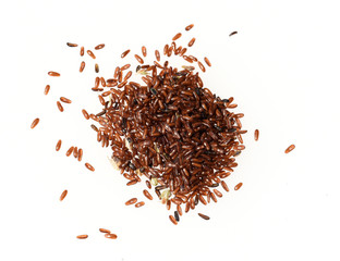 Schwarzer, Flohsamen, afra, Plantago