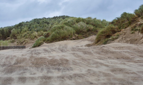 Sand blowing across the beach in Cefn Sidan, and into the marram grass covered coastal dunes on a windy Summers day in South Wales.