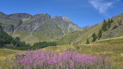 Val Varaita - Cuneo - Piemonte (Italy)