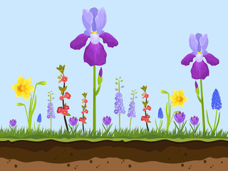 artoon field flowers, green grass and earth layers on blue background vector illustration. Pink, chamomile and lavender iris. Spring and summer field flowers.