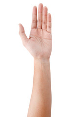 Male asian hand gestures isolated over the white background.