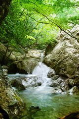 Natural Spring Waterfall