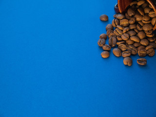 Coffee beans on blue background copy space coral trend