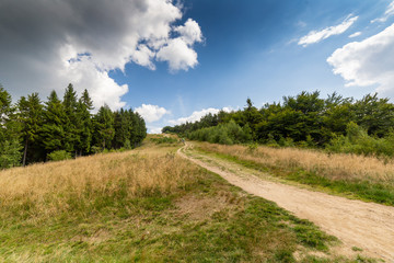 Tourists and bikers on mountain trail in Polish Beskid Mountains to Jaworzyna Krynicka near Krynica in Poland