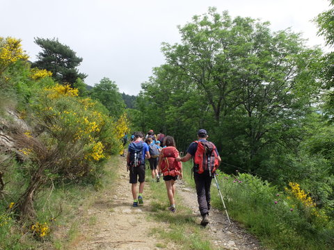 groupe de randonn&eacute;e randonneurs en foret for&ecirc;t et entraide