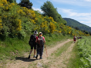 groupe de randonnée randonneurs en foret forêt et entraide