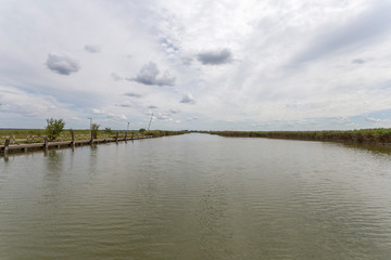 Lake Velence in Hungary on a summer day.
