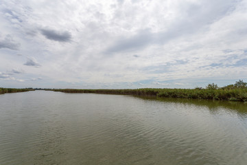 Lake Velence in Hungary on a summer day.
