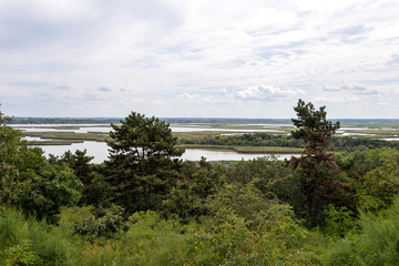 Lake Velence in Hungary on a summer day.